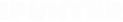 Mrpunter Casino Logo